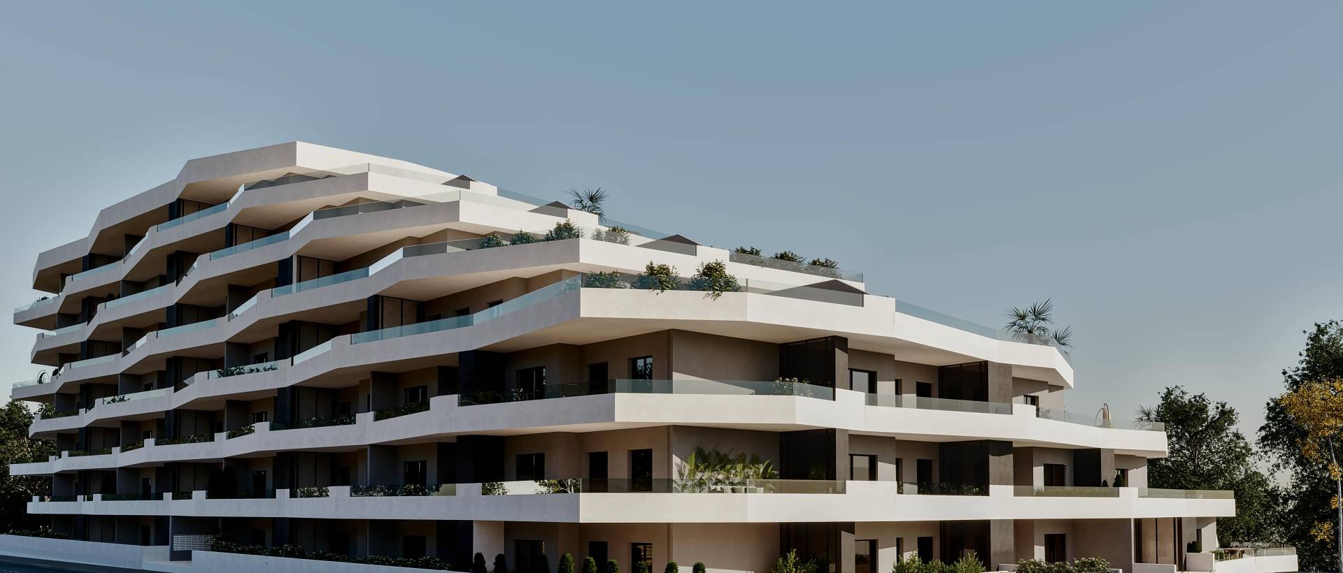 New - Apartment - San Miguel de Salinas