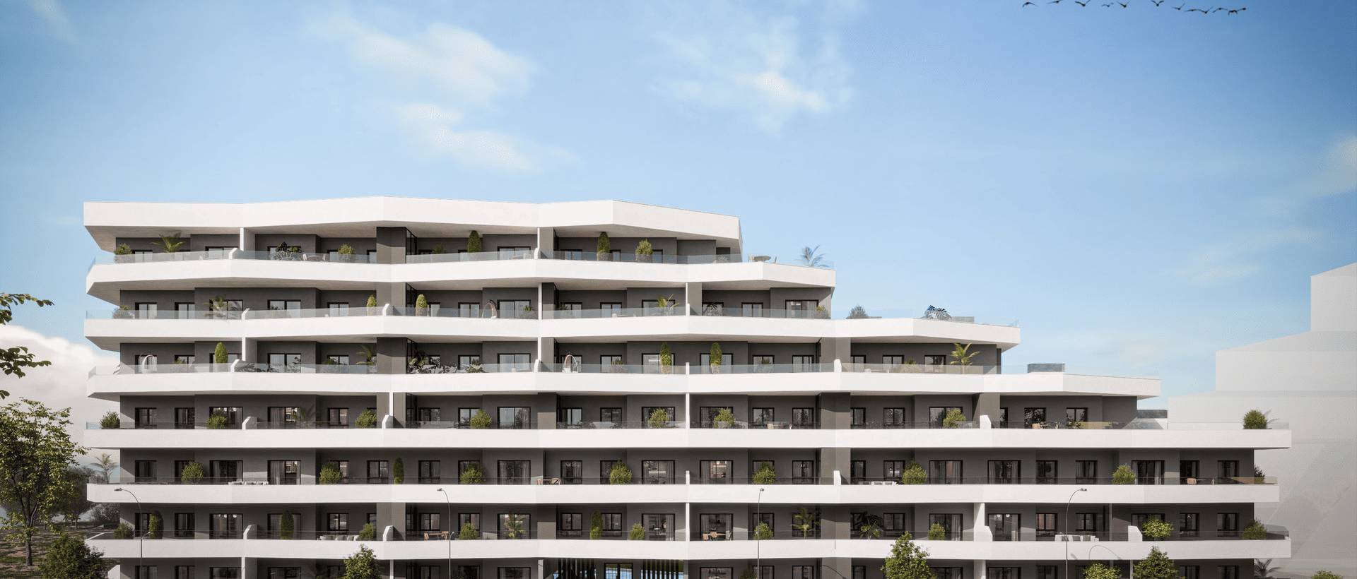 Obra Nueva - Apartmento - San Miguel de Salinas