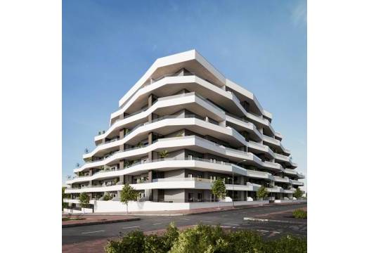 Obra Nueva - Apartmento - San Miguel de Salinas