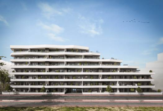 New - Apartment - San Miguel de Salinas