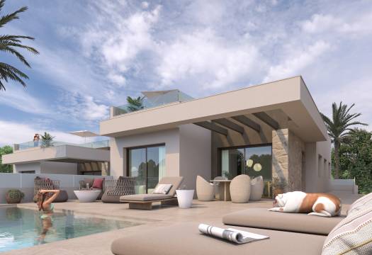 Obra Nueva - detached - Rojales