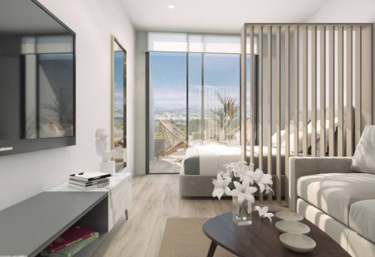 Obra Nueva - Apartmento - Torrevieja