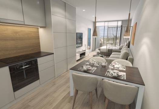 Obra Nueva - Apartmento - Torrevieja