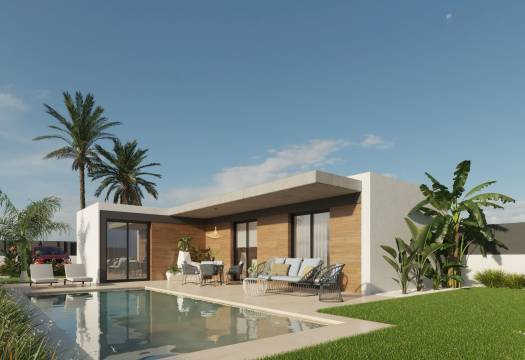 detached - Obra Nueva - Molina De Segura - Molina de Segura