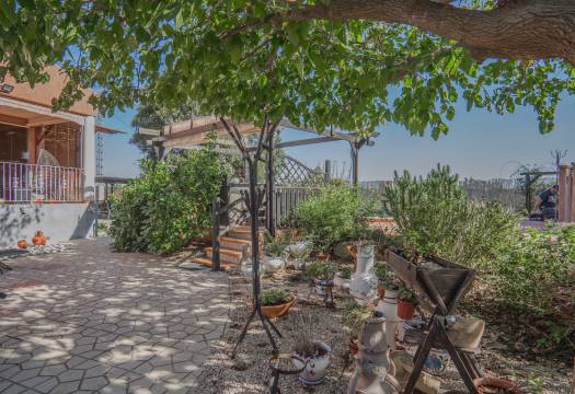 Reventa - Finca / Casa de Campo - Orihuela - San Bartolome