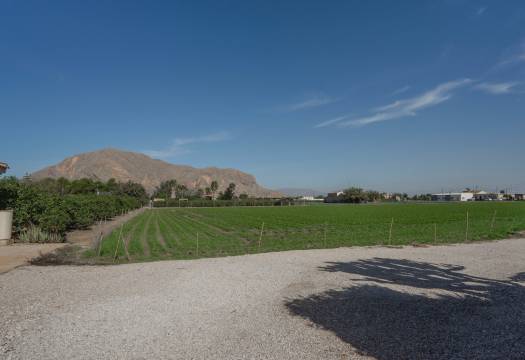 Reventa - Finca / Casa de Campo - Orihuela - San Bartolome