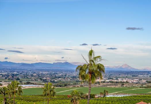Reventa - Villa / Chalet - Algorfa - Lomas De La Juliana