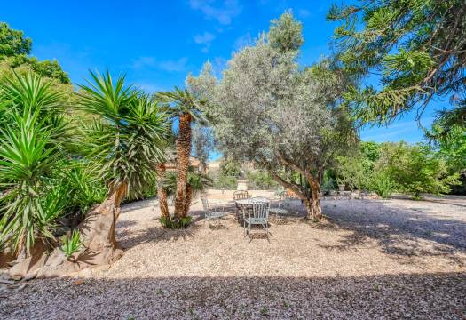Reventa - Finca / Casa de Campo - Rojales