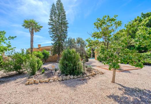 Reventa - Finca / Casa de Campo - Rojales