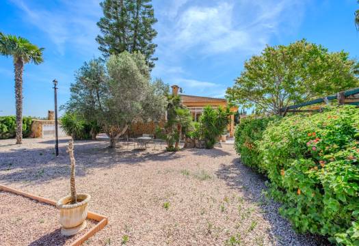 Reventa - Finca / Casa de Campo - Rojales