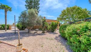 Reventa - Finca / Casa de Campo - Rojales