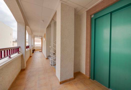 New - ground-floor - San Fulgencio