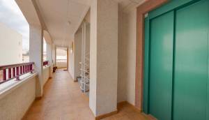 New - ground-floor - San Fulgencio