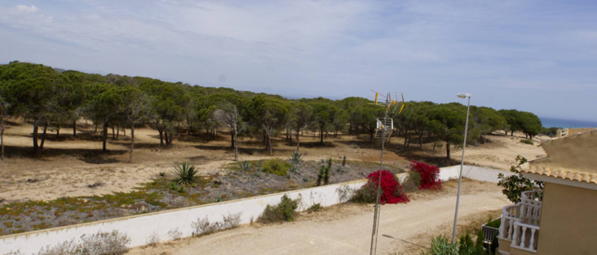 Resale - Villa - La Mata